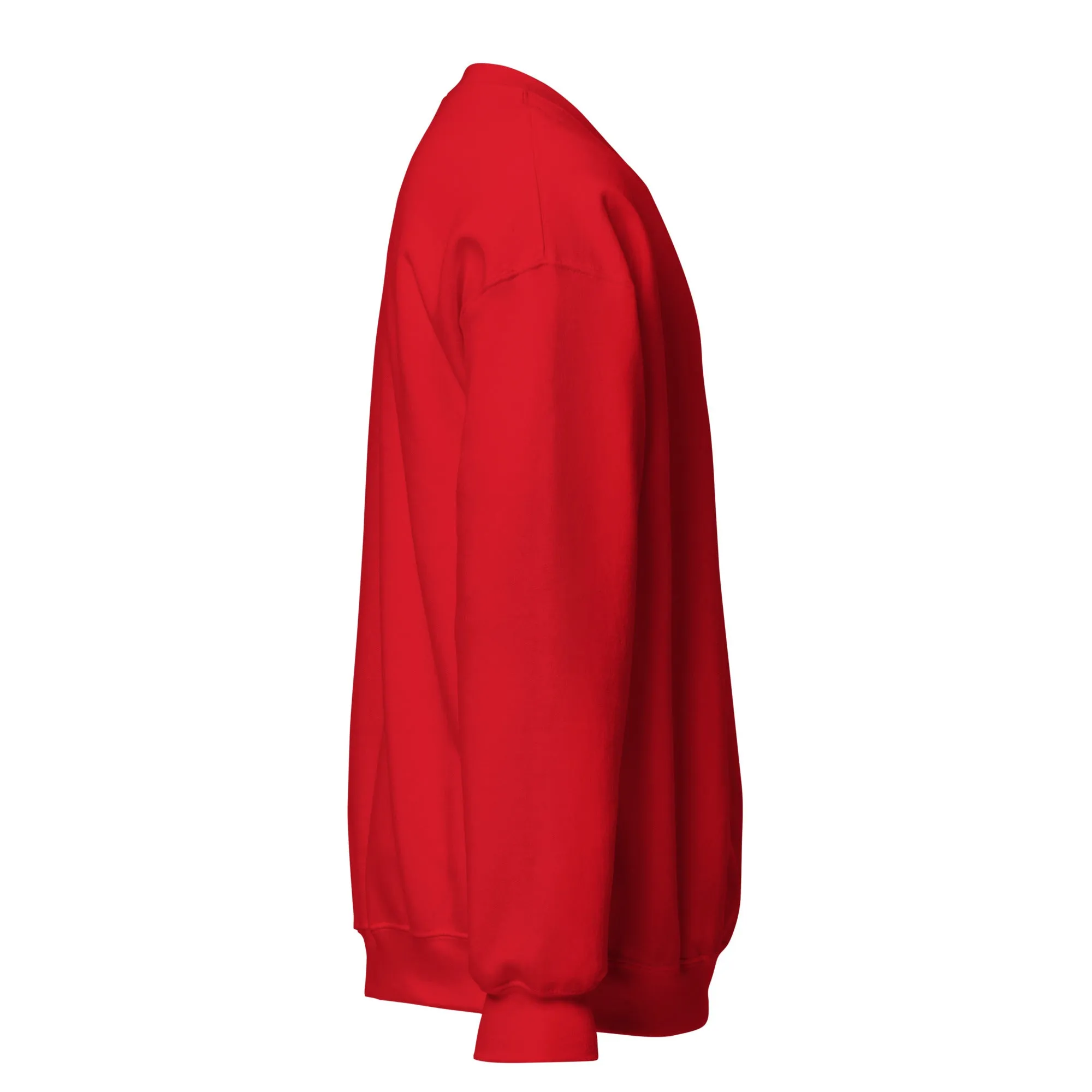 FYD Unisex Sweatshirt in 10  SPRING colors