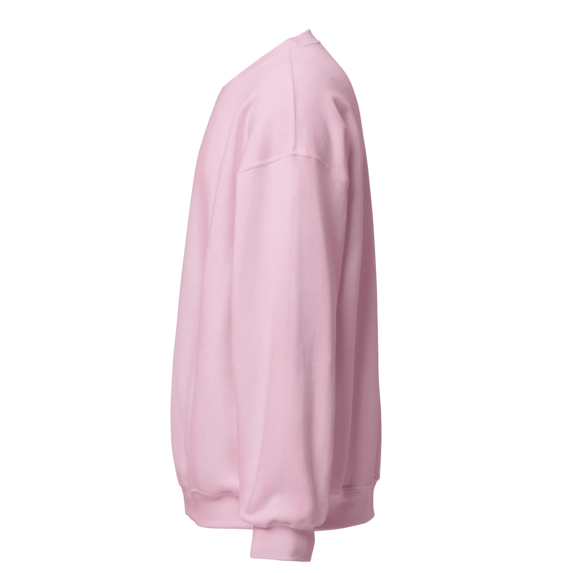 FYD Unisex Sweatshirt in 10  SPRING colors