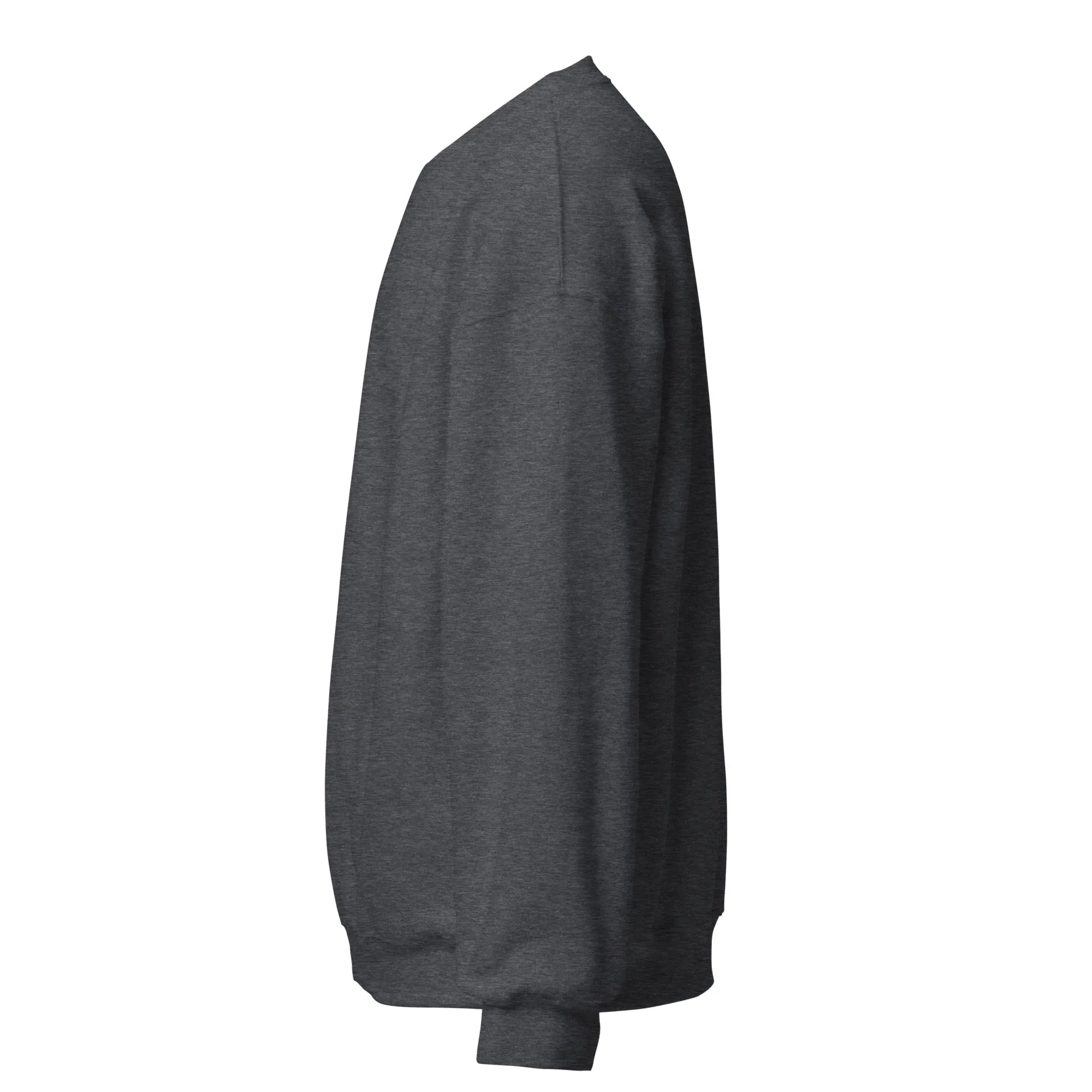 FYD Unisex Sweatshirt in 10  SPRING colors