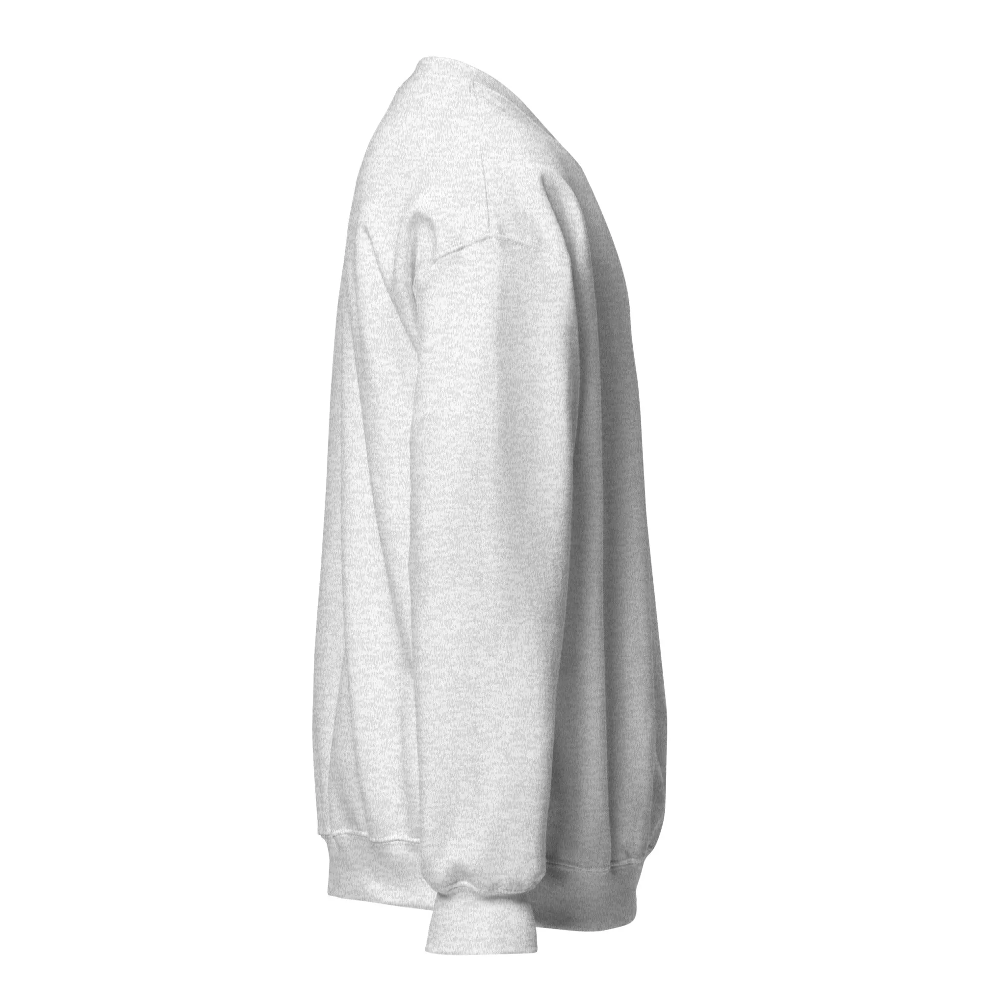 FYD Unisex Sweatshirt in 10  SPRING colors