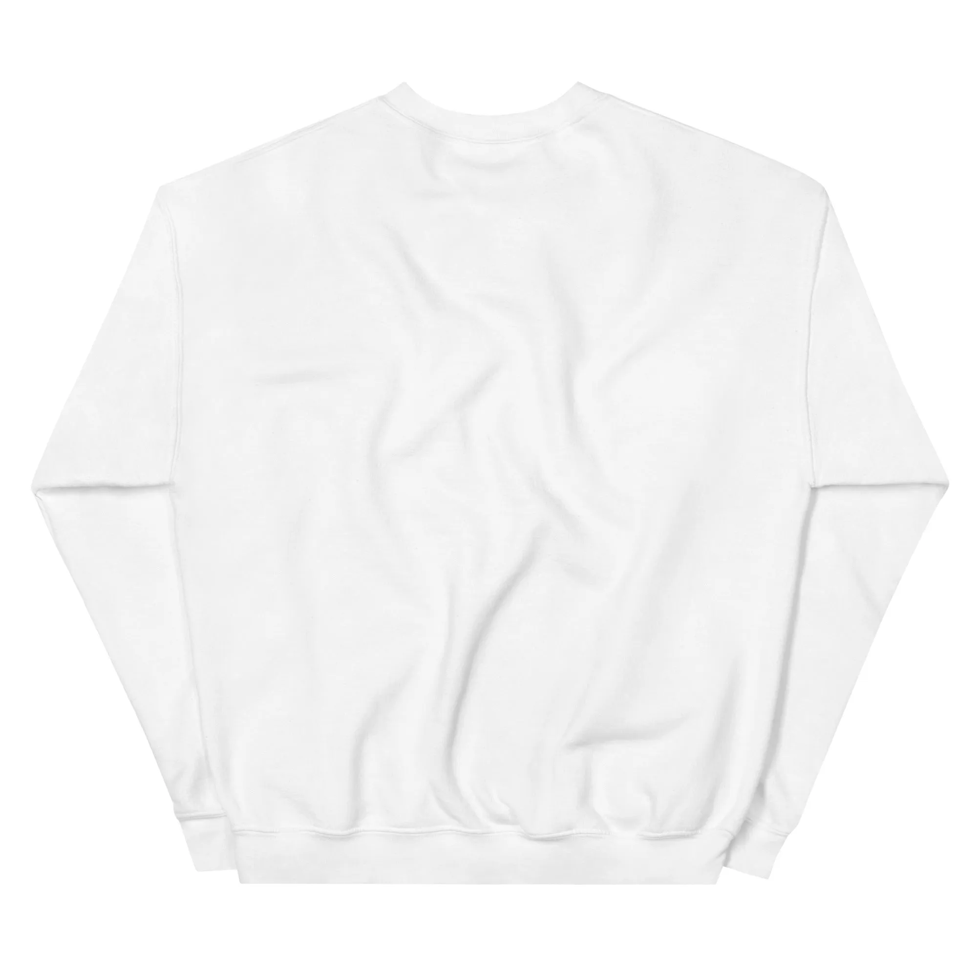 FYD Unisex Sweatshirt in 10  SPRING colors