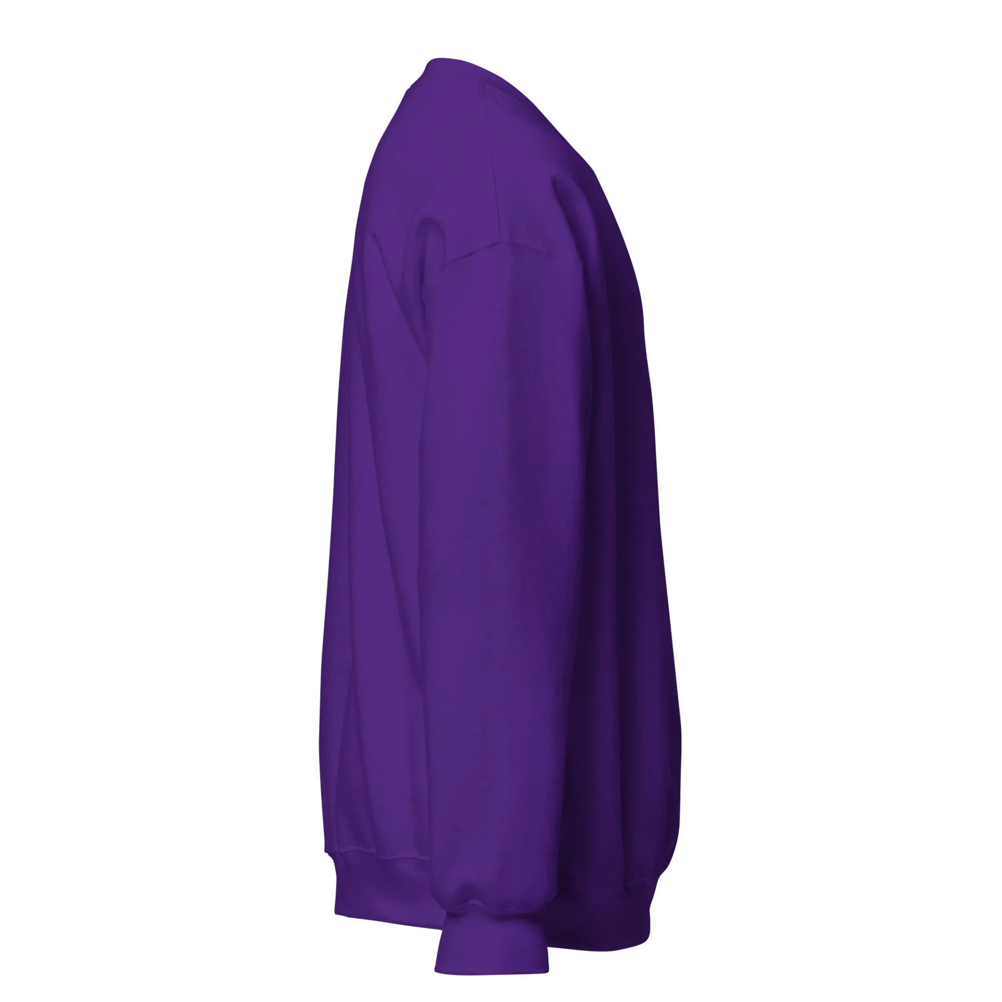 FYD Unisex Sweatshirt in 10  SPRING colors