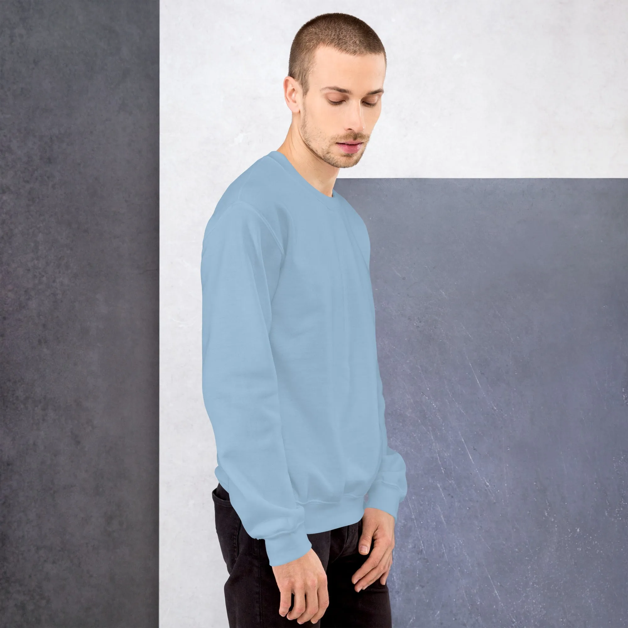 FYD Unisex Sweatshirt in 10  SPRING colors