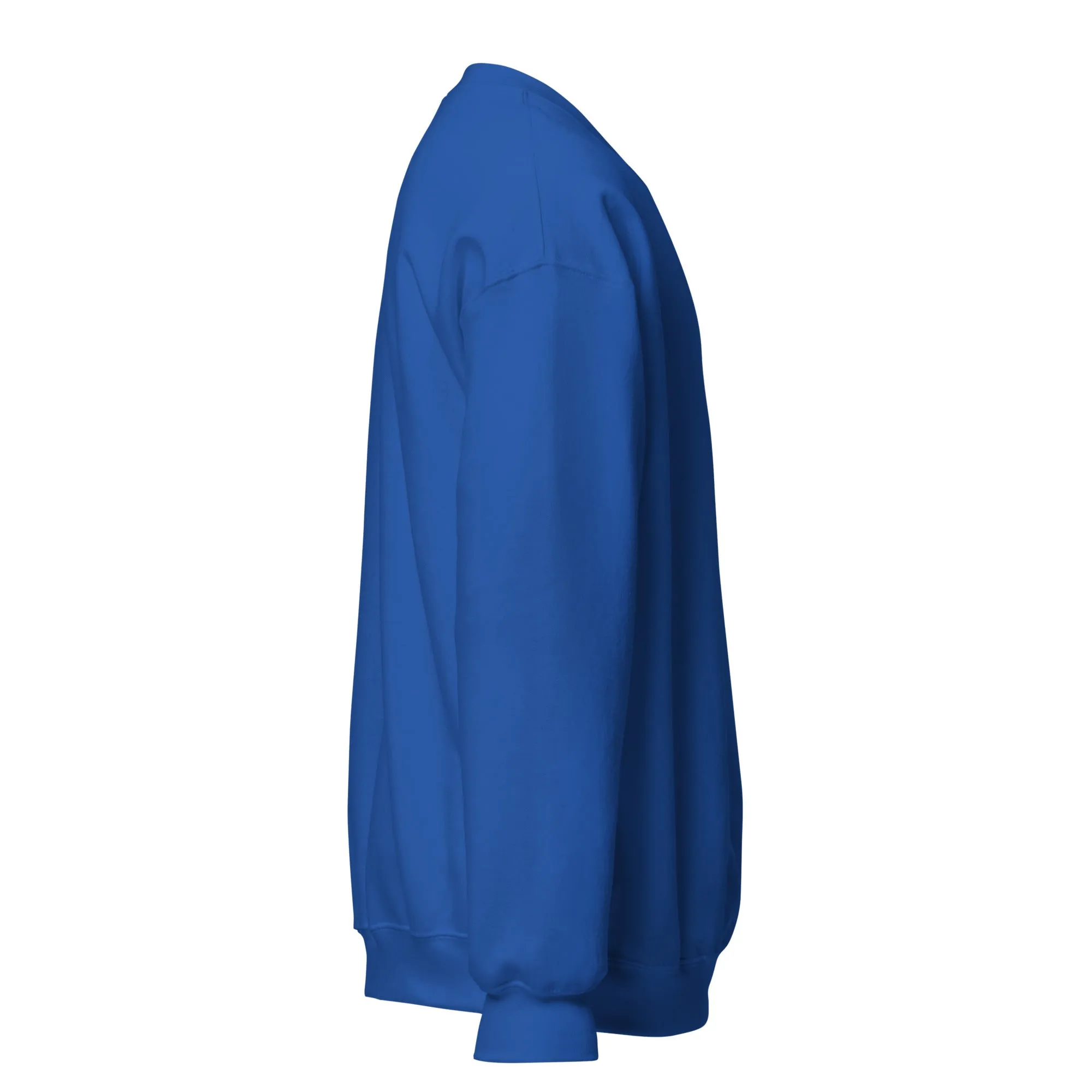 FYD Unisex Sweatshirt in 10  SPRING colors