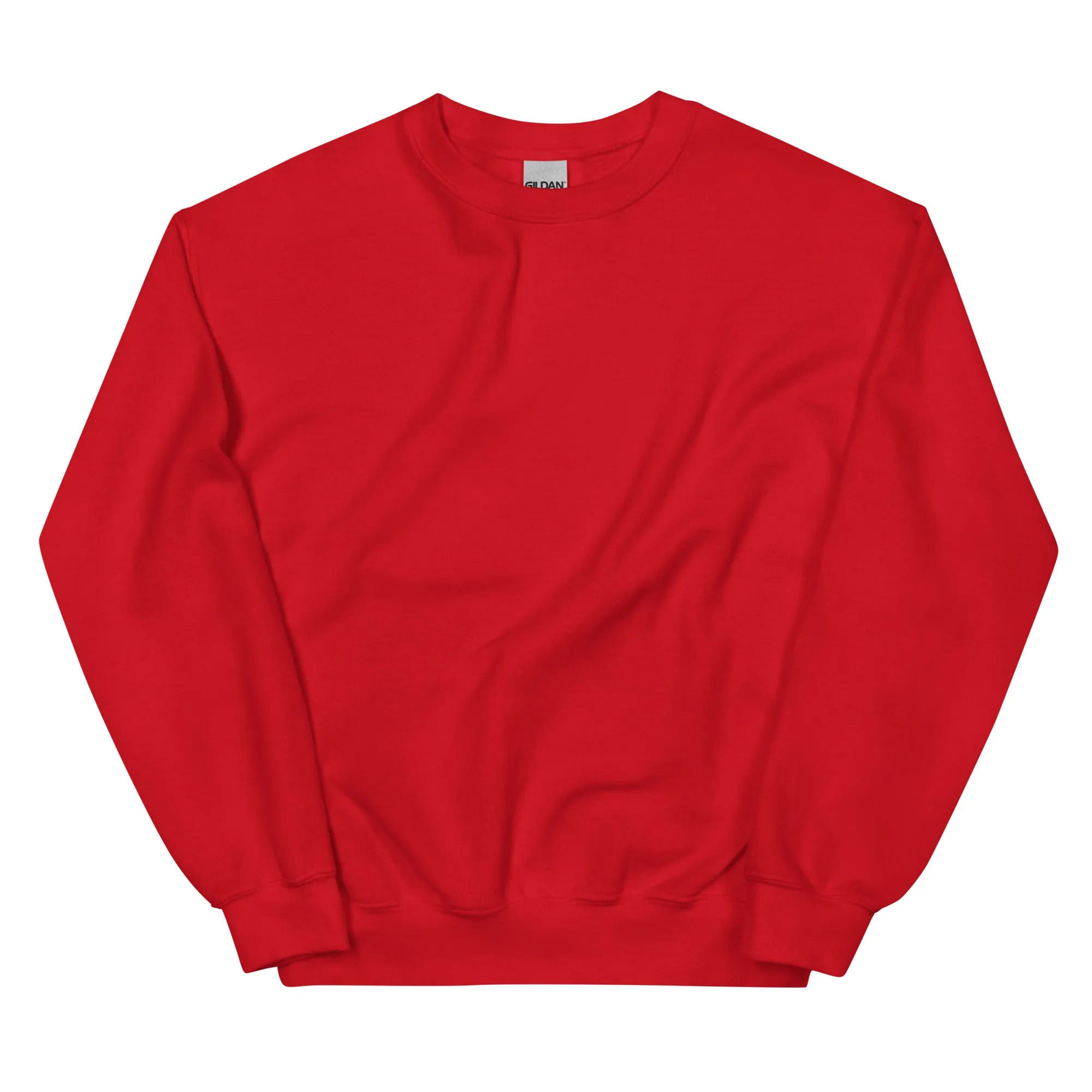 FYD Unisex Sweatshirt in 10  SPRING colors