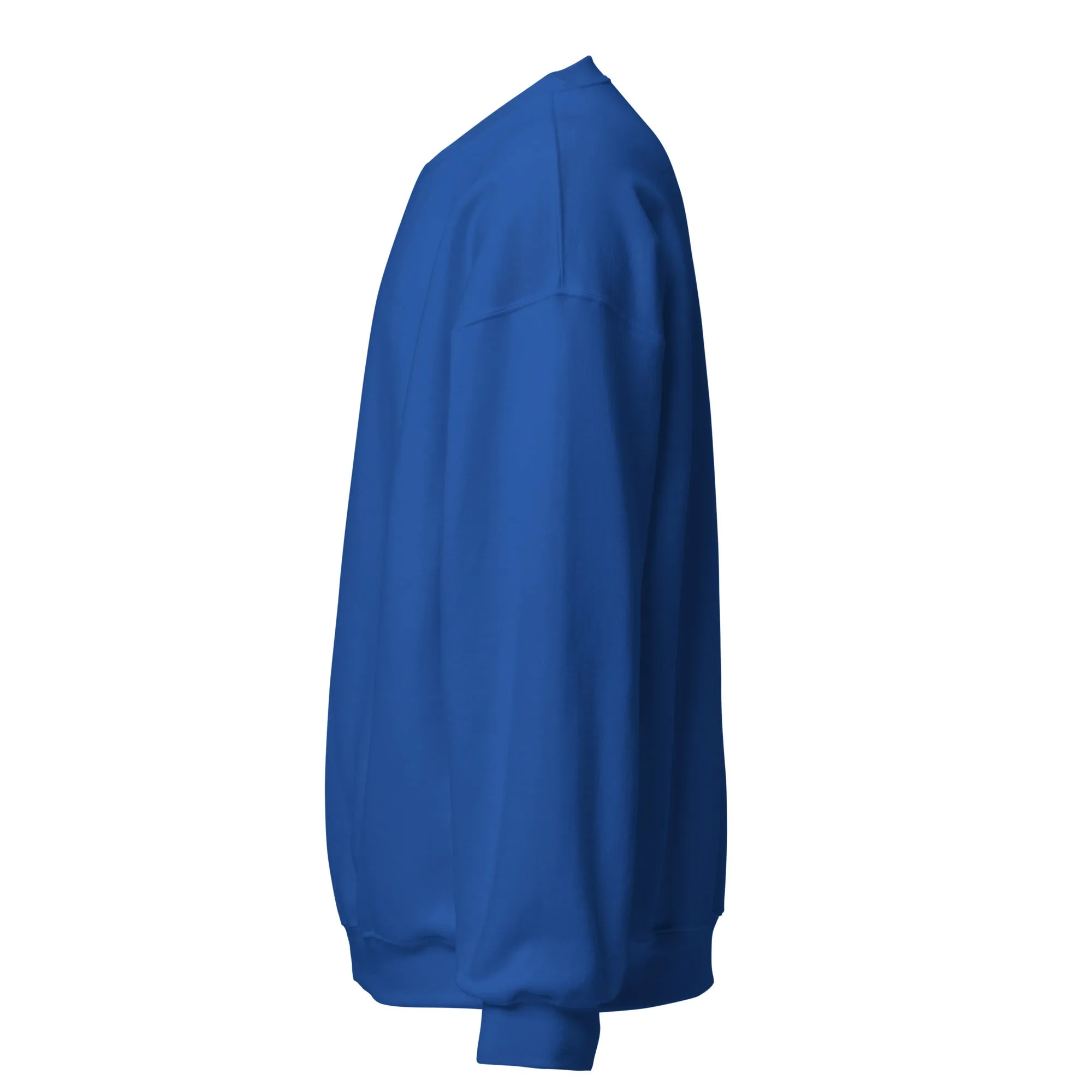 FYD Unisex Sweatshirt in 10  SPRING colors