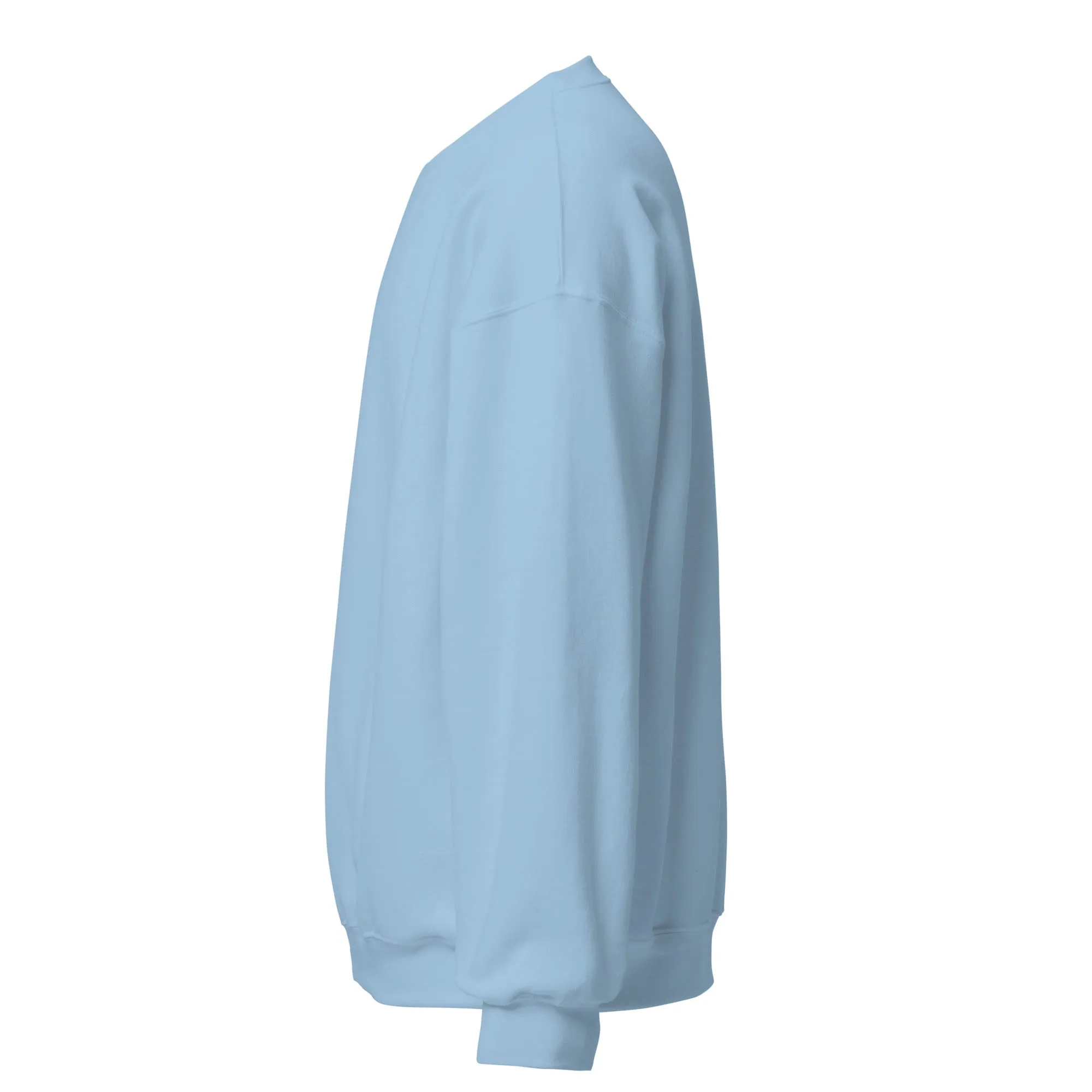 FYD Unisex Sweatshirt in 10  SPRING colors