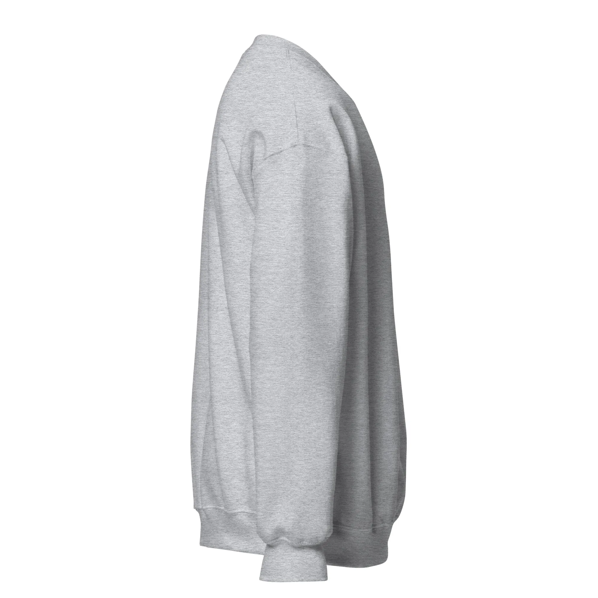 FYD Unisex Sweatshirt in 10  SPRING colors