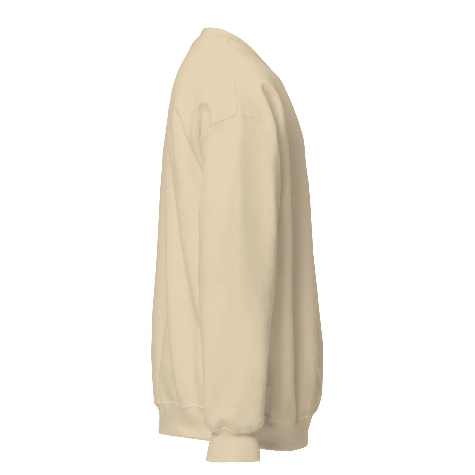 FYD Unisex Sweatshirt in 10  SPRING colors