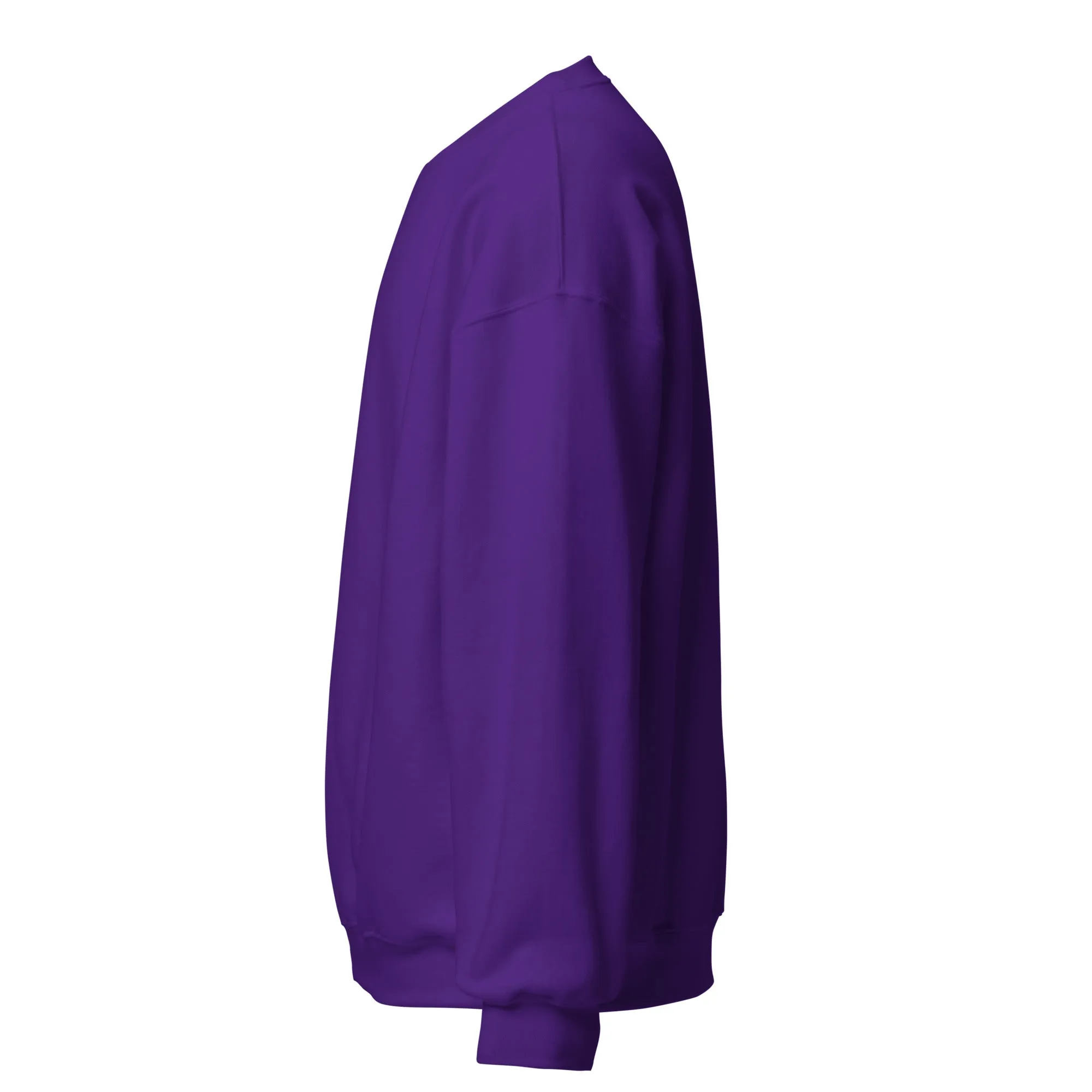 FYD Unisex Sweatshirt in 10  SPRING colors