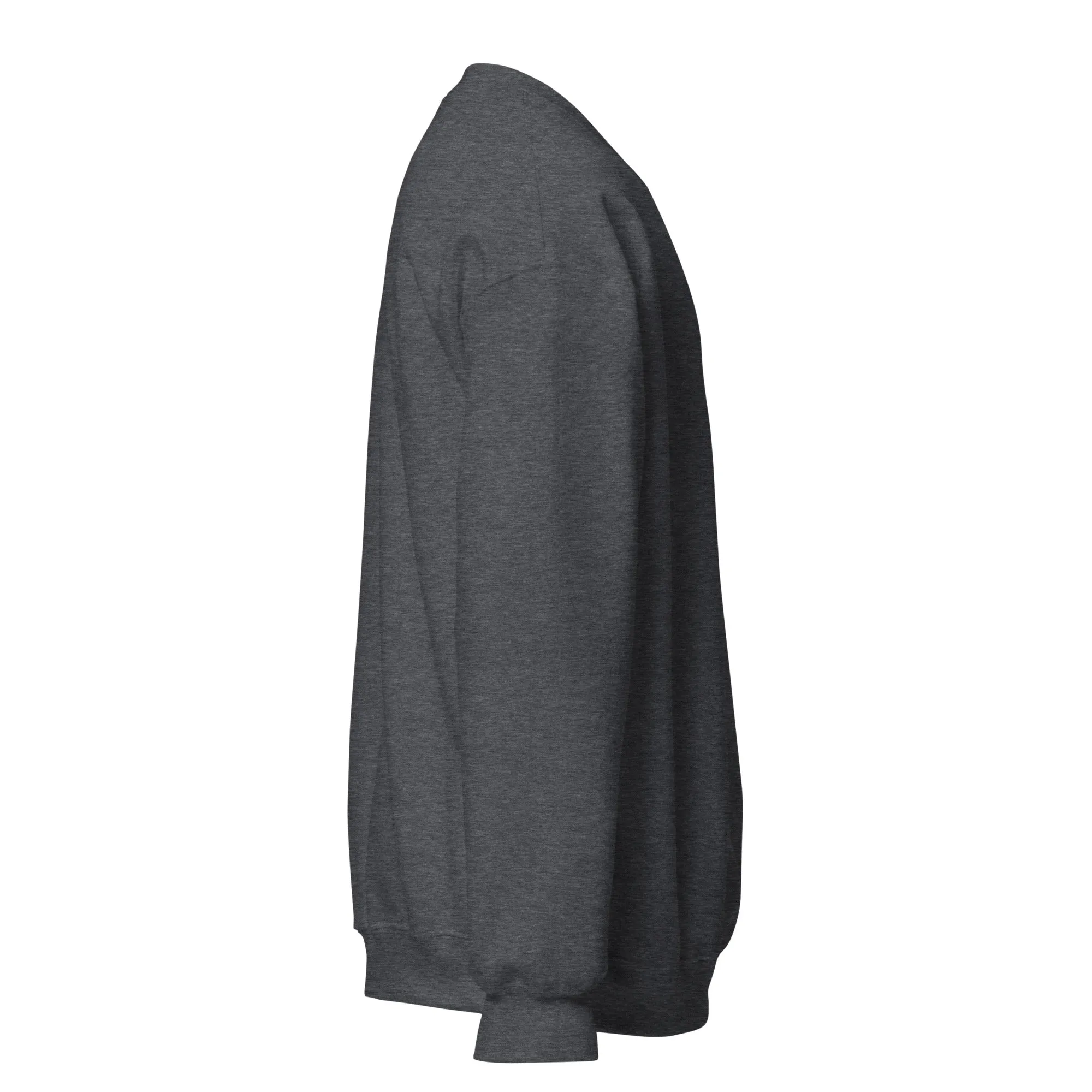 FYD Unisex Sweatshirt in 10  SPRING colors