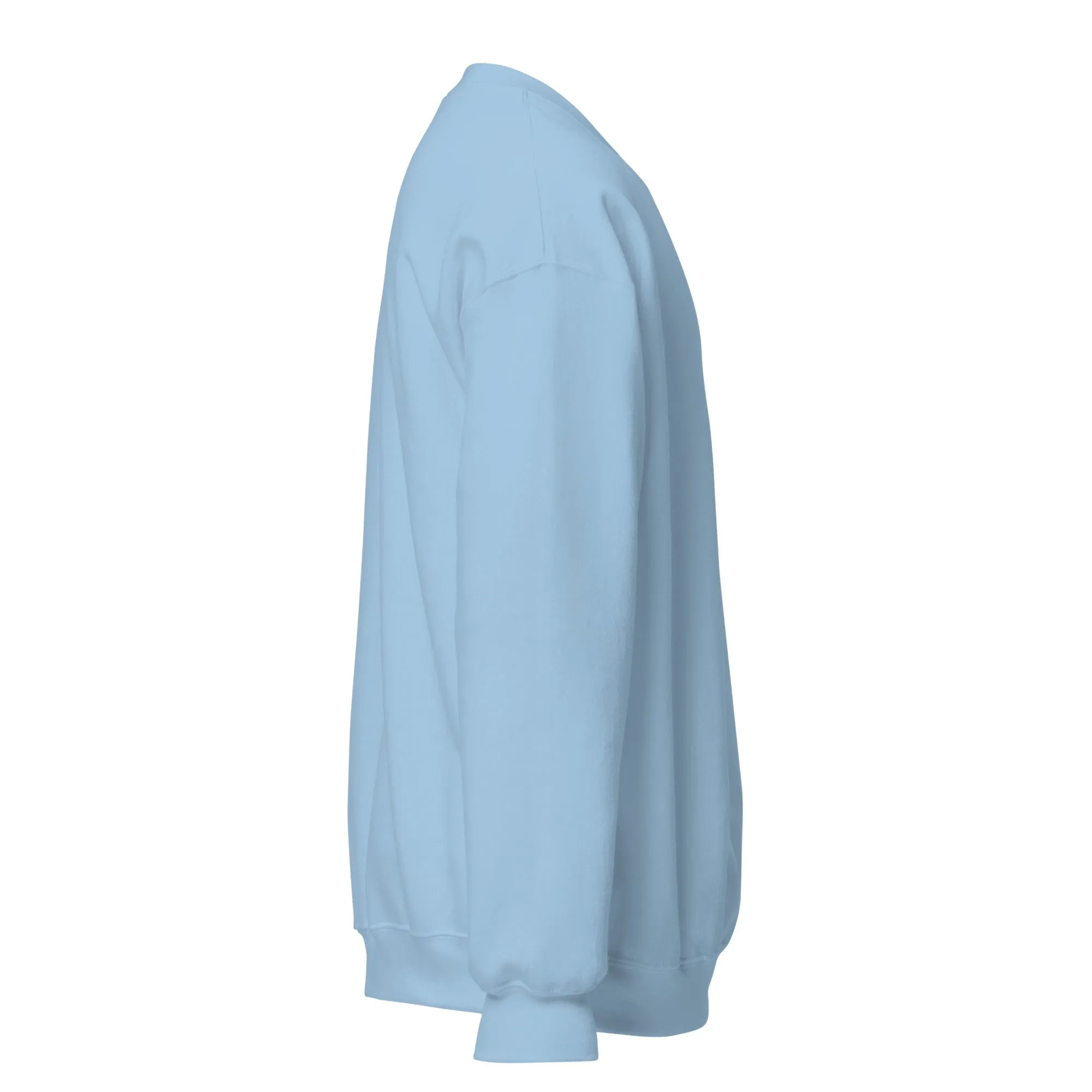 FYD Unisex Sweatshirt in 10  SPRING colors