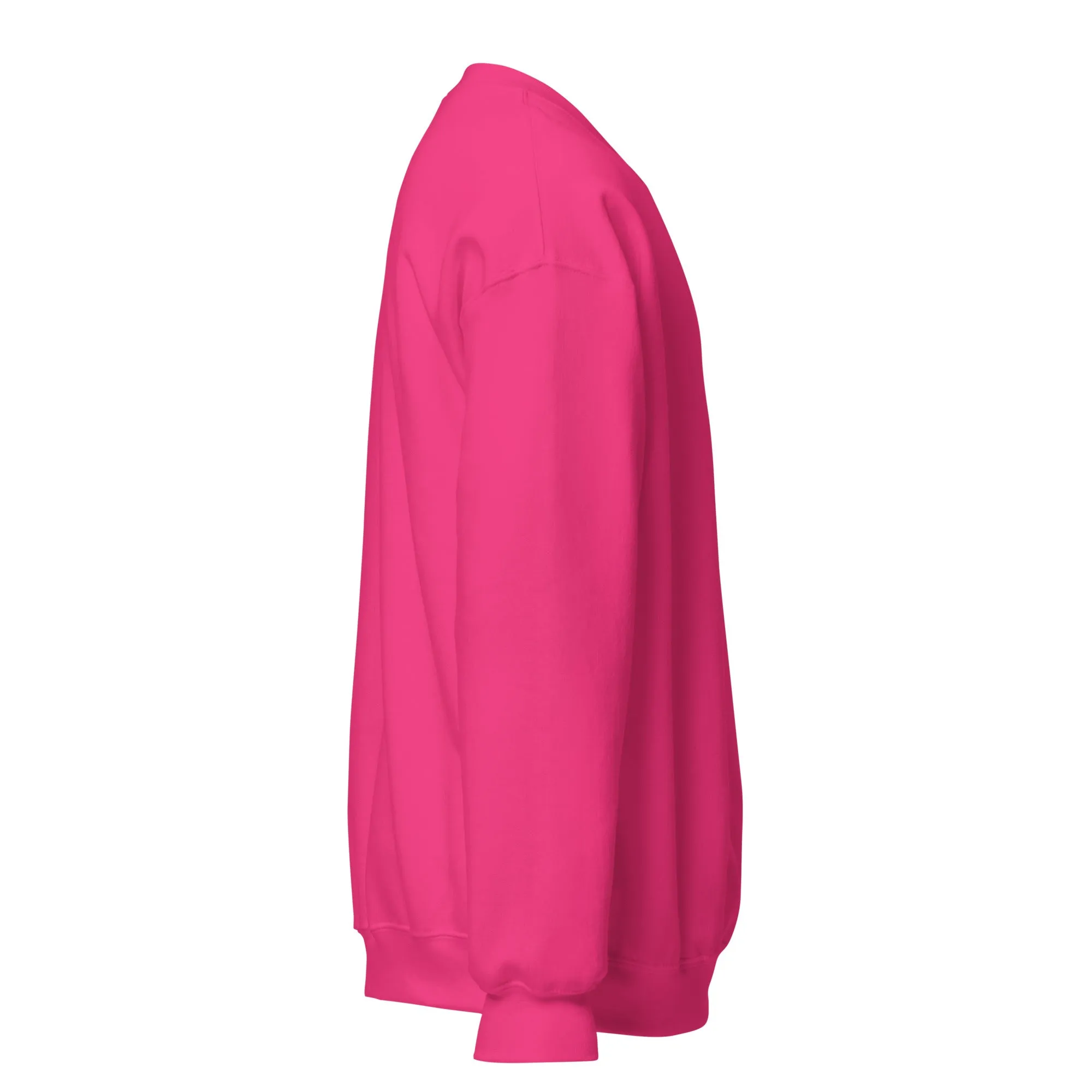FYD Unisex Sweatshirt in 10  SPRING colors