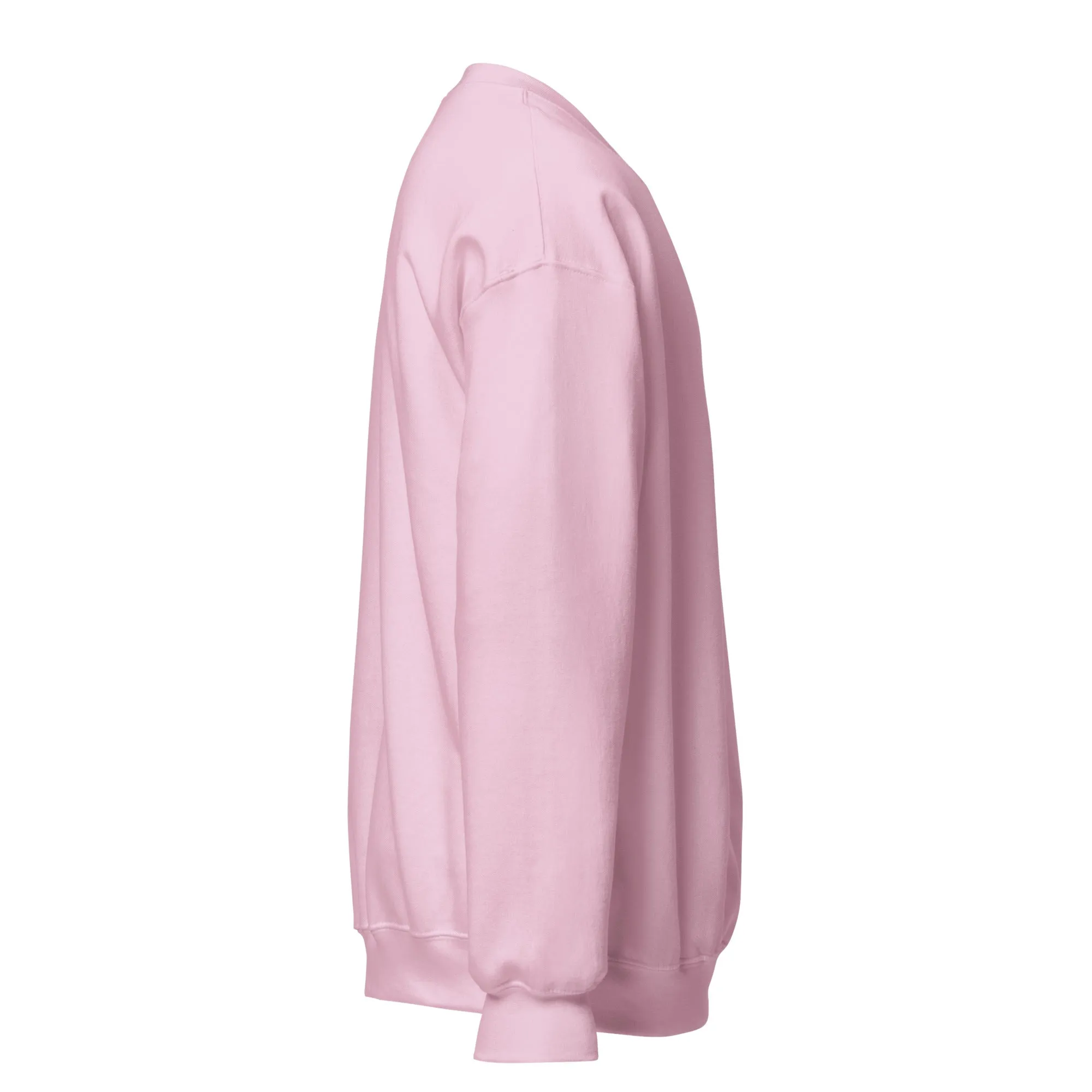 FYD Unisex Sweatshirt in 10  SPRING colors