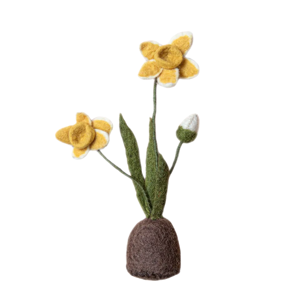 Standing Daffodil