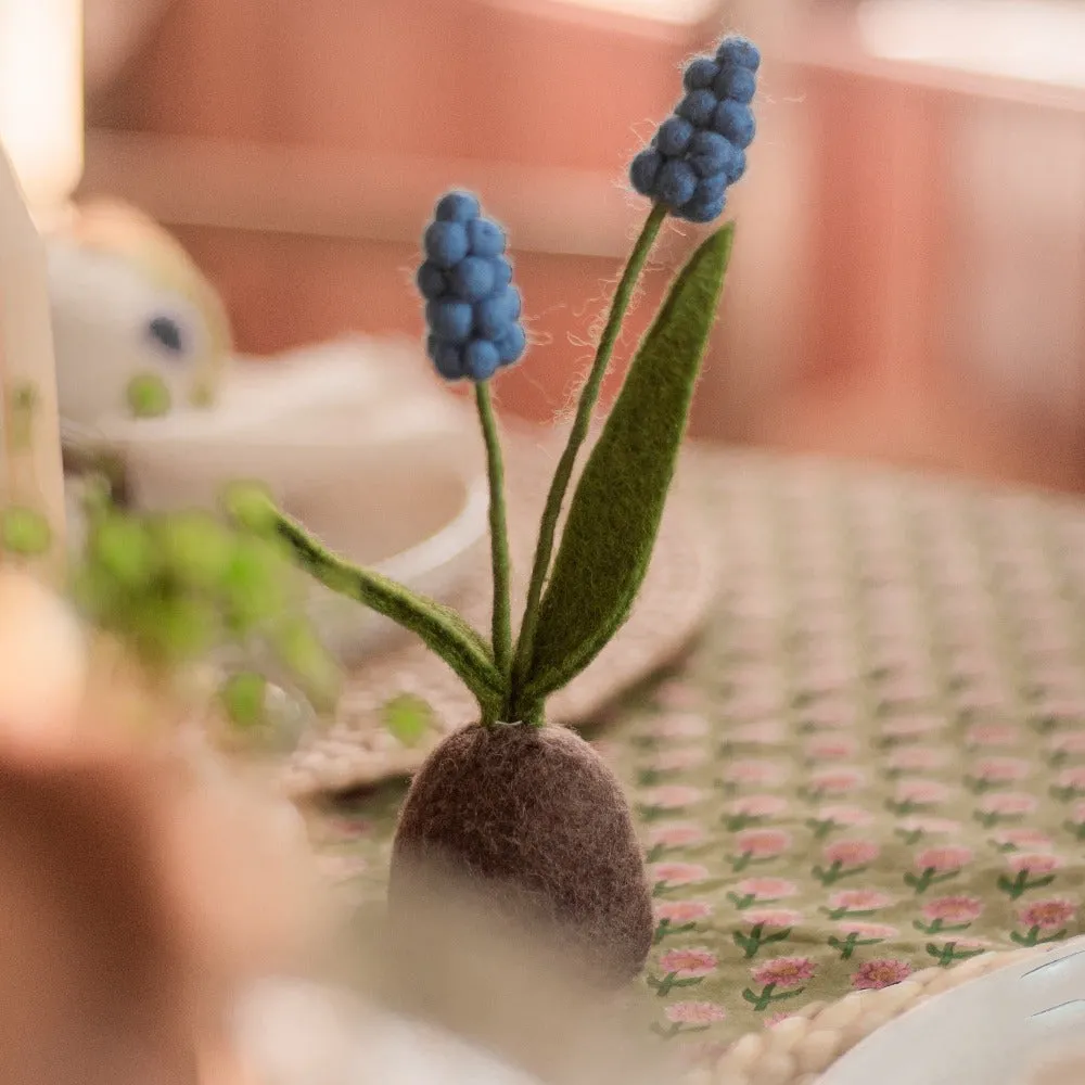 Standing Hyacinth